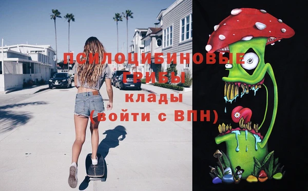 стафф Медвежьегорск