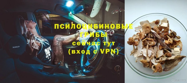 стафф Медвежьегорск