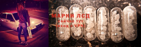 стафф Медвежьегорск