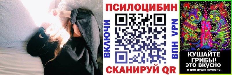 Псилоцибиновые грибы Psilocybine cubensis  Купить где  Калининец 