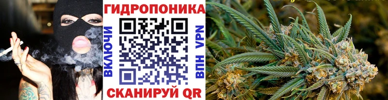 Купить  Калининец  Шишки марихуана сатива 